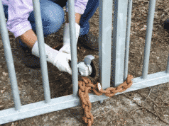 Radiopiraten sluiten controleurs Agentschap Telecom op