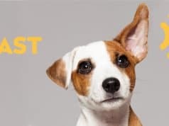 Recordaantal inzendingen NTR Podcastprijs