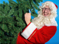 Radio Veronica geeft 200 kerstbomen weg, door te bellen met 0909-nummer