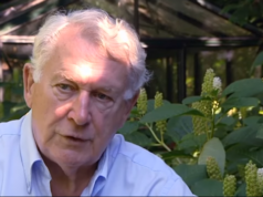 Oud-radiomaker Koos Postema (93) overleden